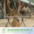 Furruled zoo armário de aviário mesh / malha de cabo para animais fabricado por cabo de aço inoxidável
